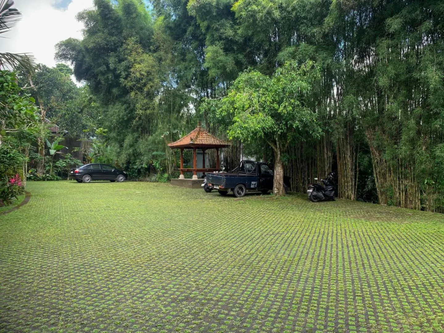 Photo 25
