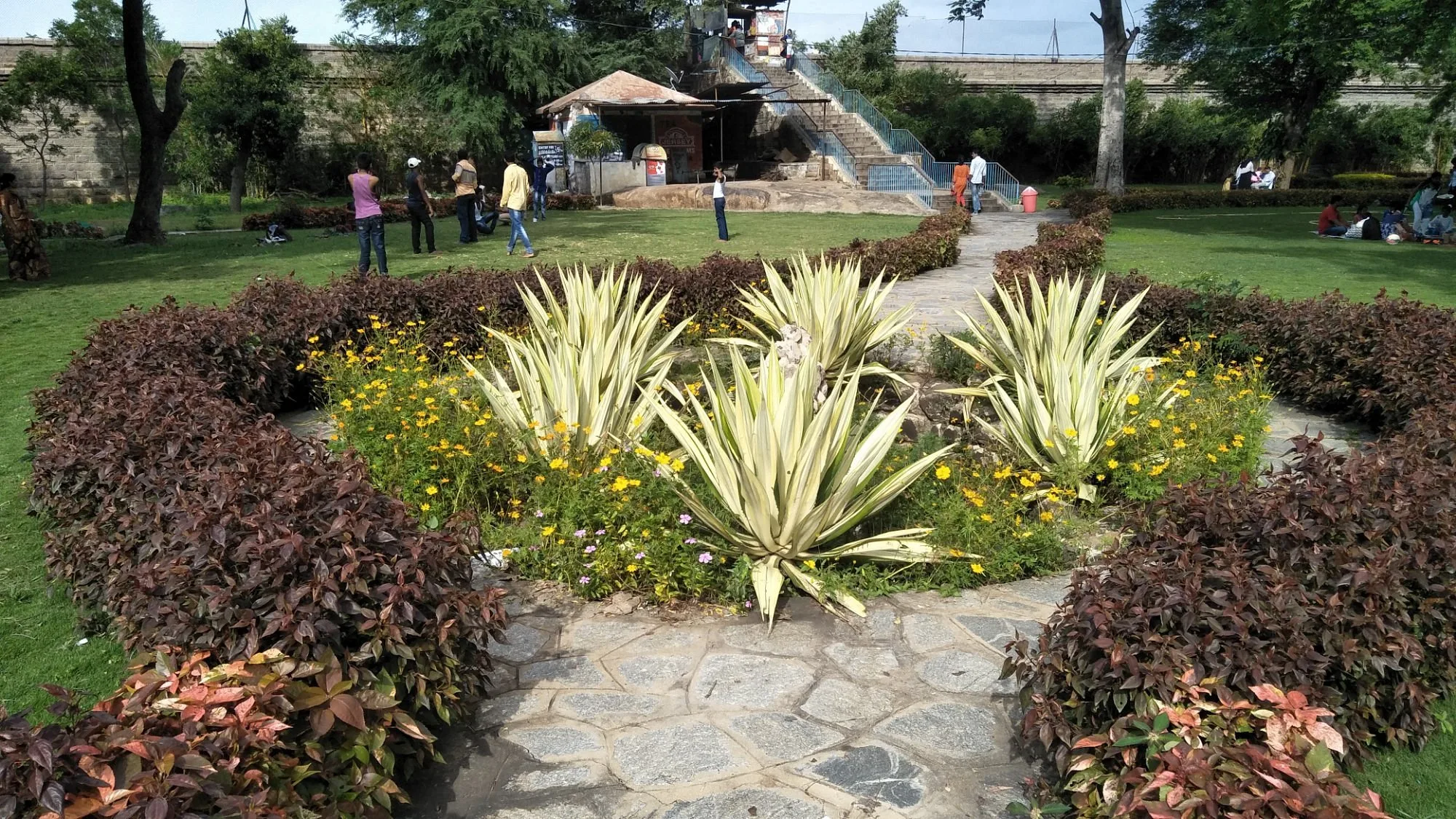 Photo 8