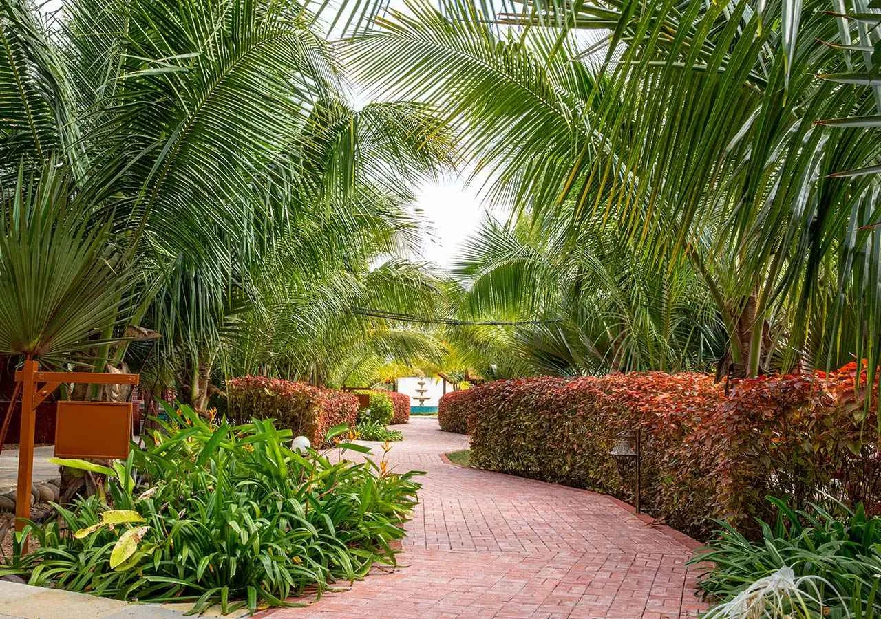 Photo 8