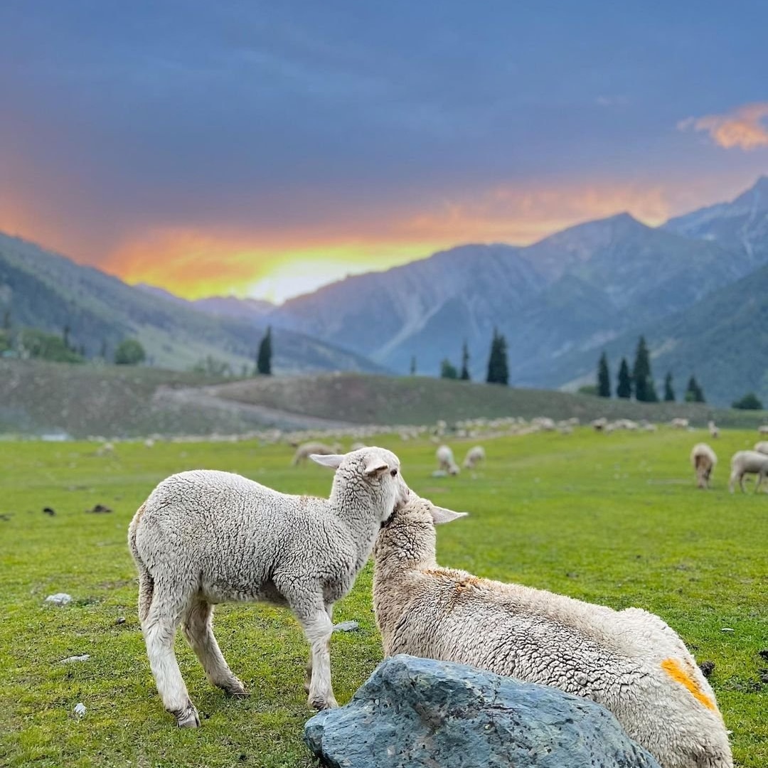 Sonamarg