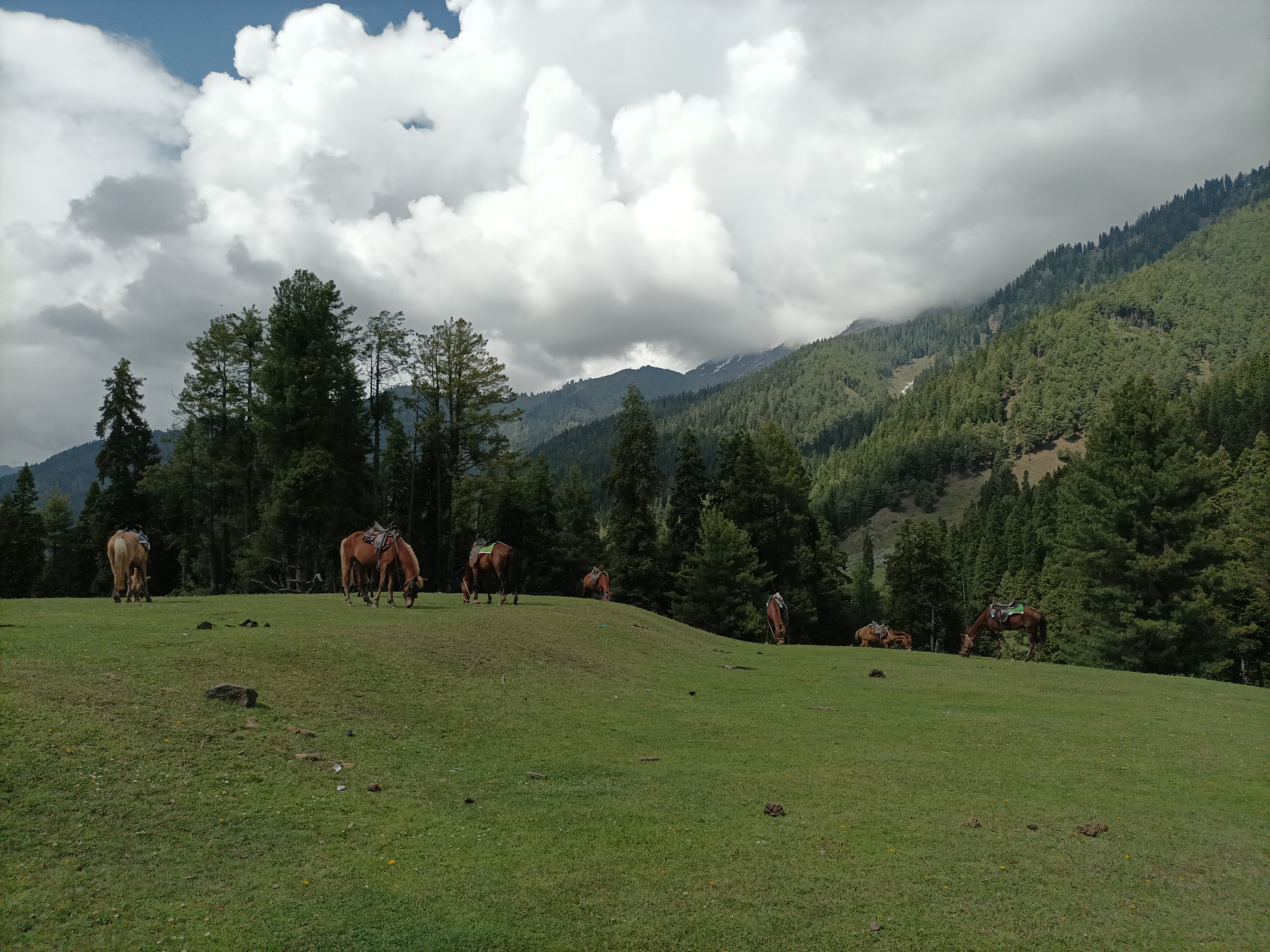 Deno Valley