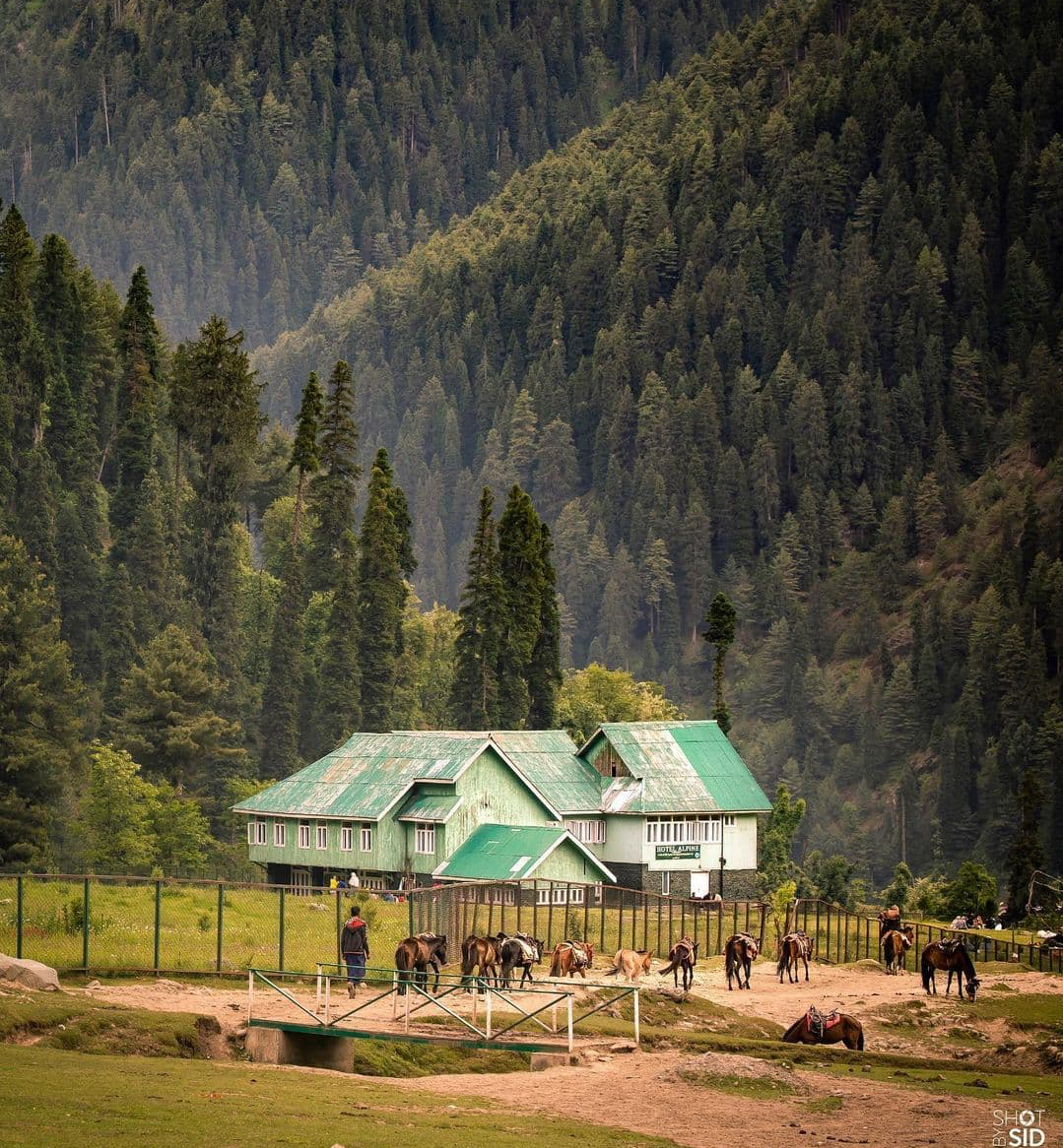 Aru Valley