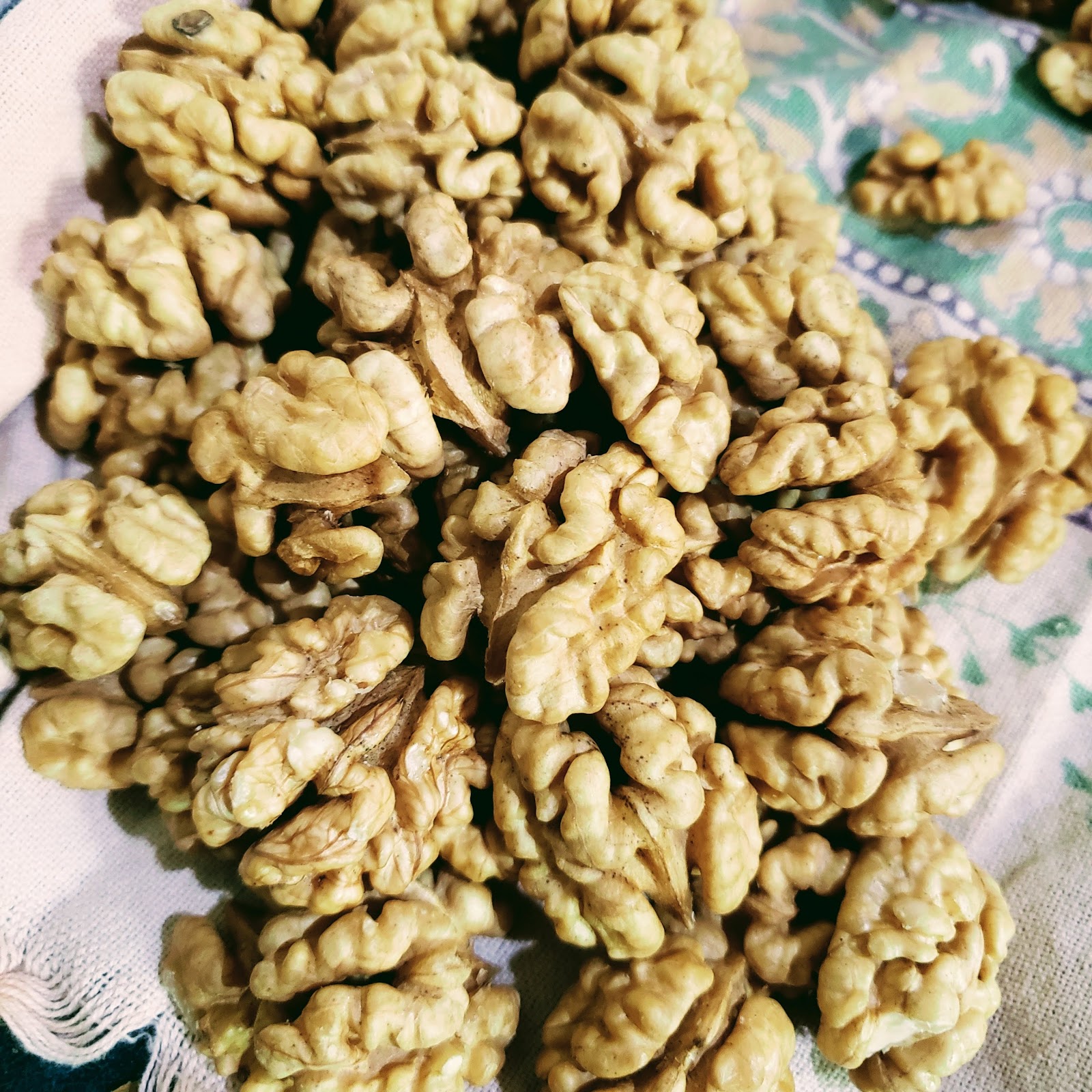 Walnut World