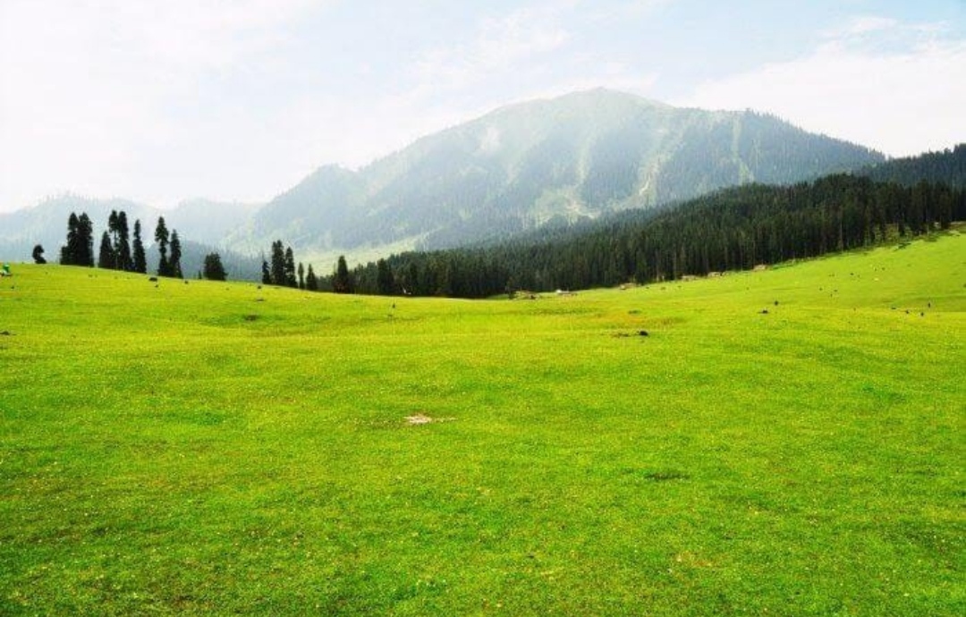 Kupwara
