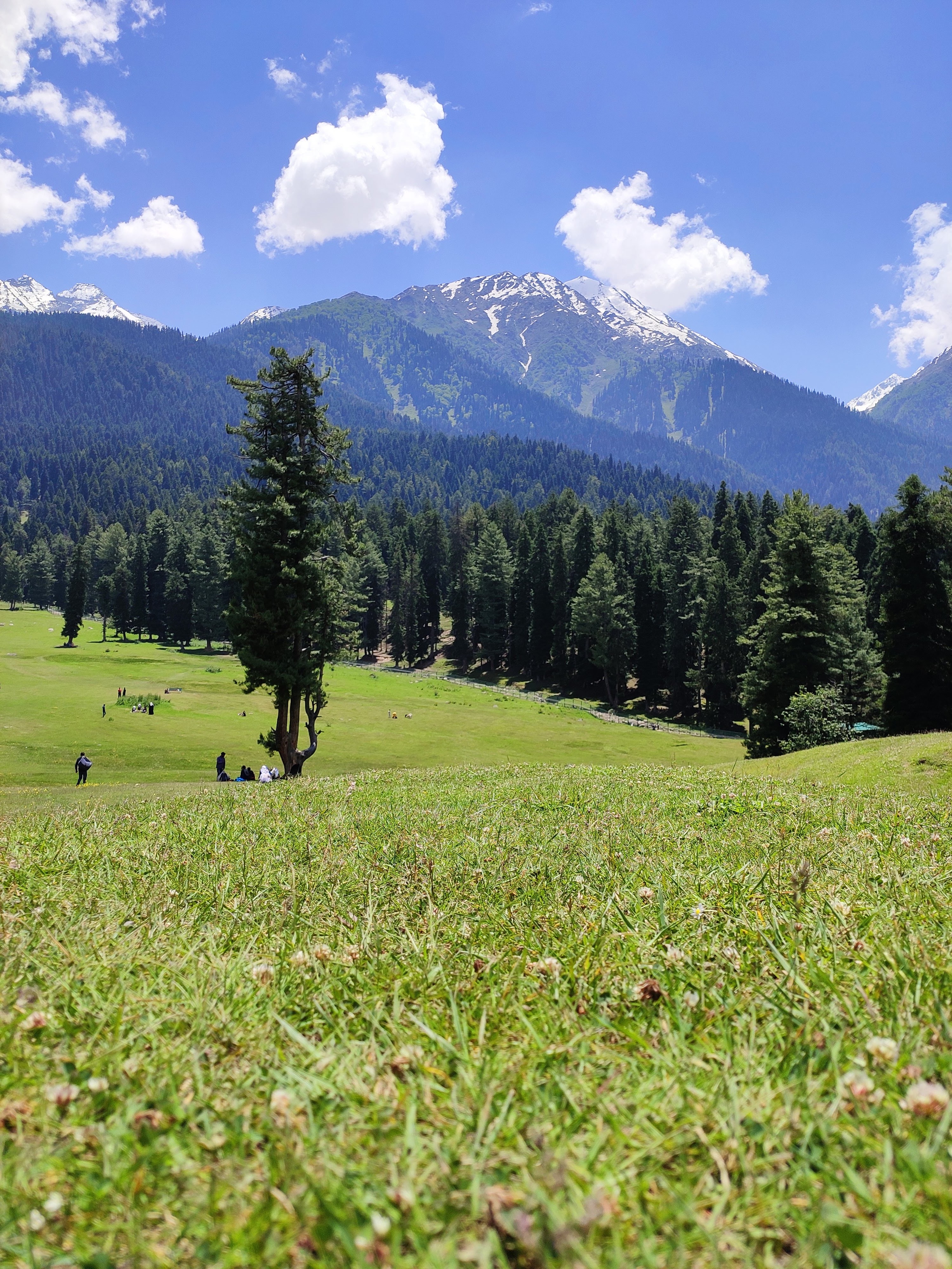 Baisaran Valley