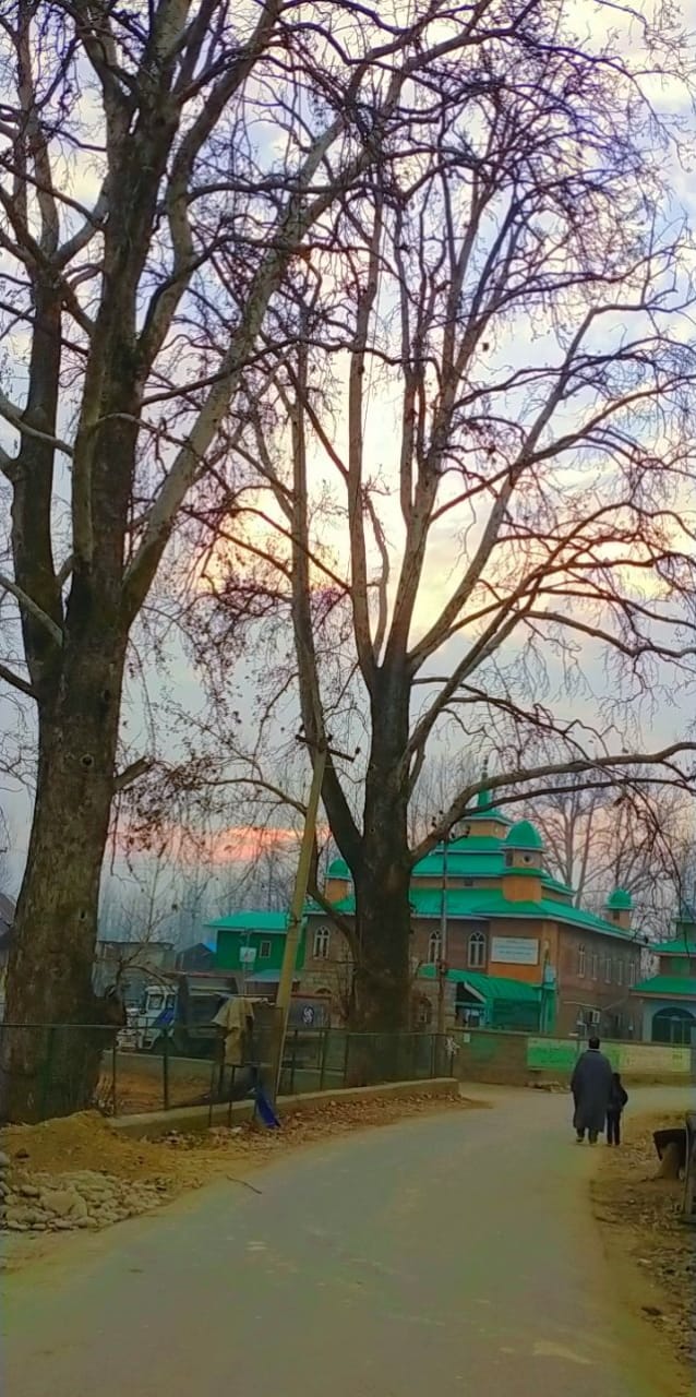 Pulwama District