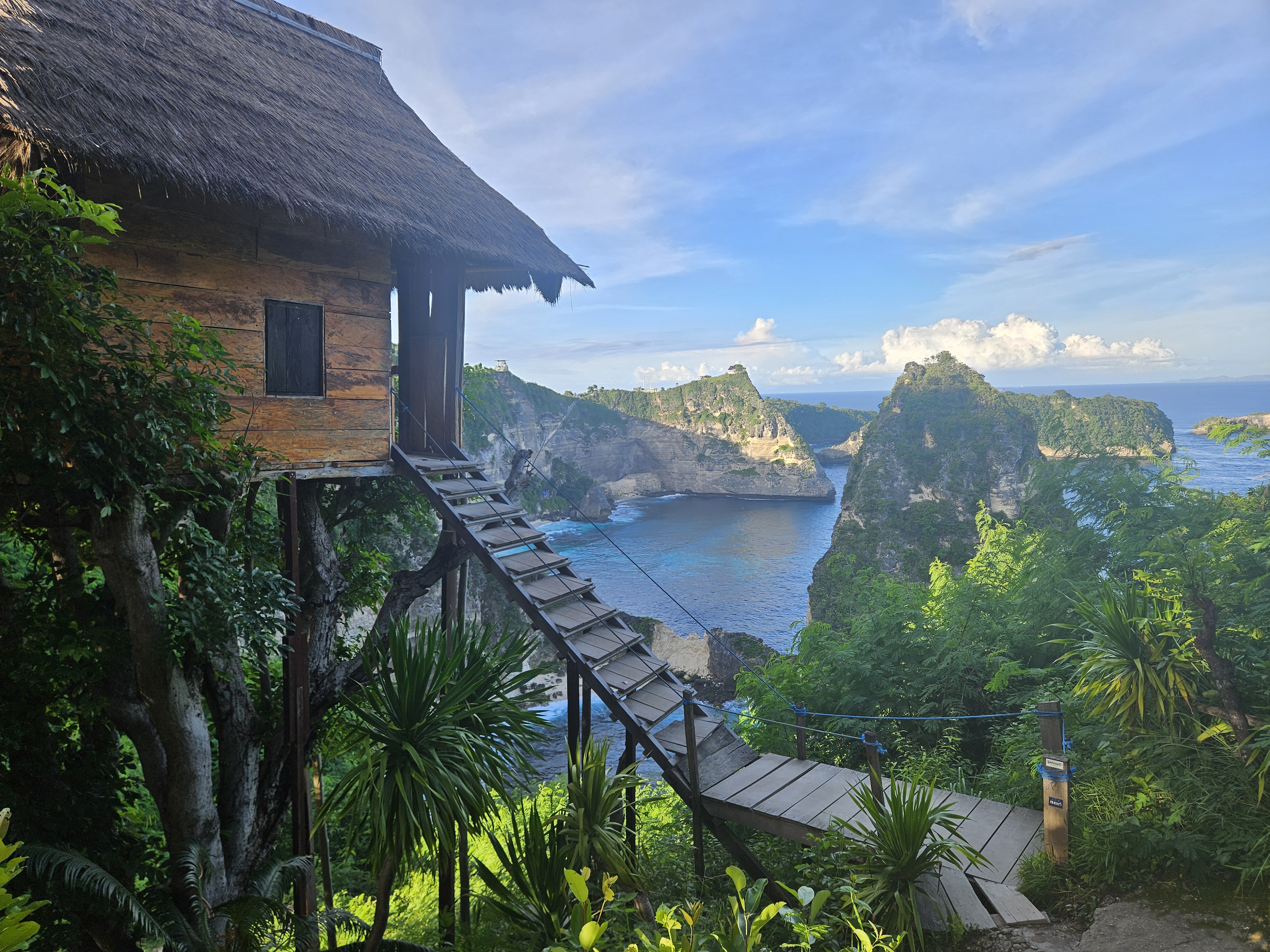 Tree House