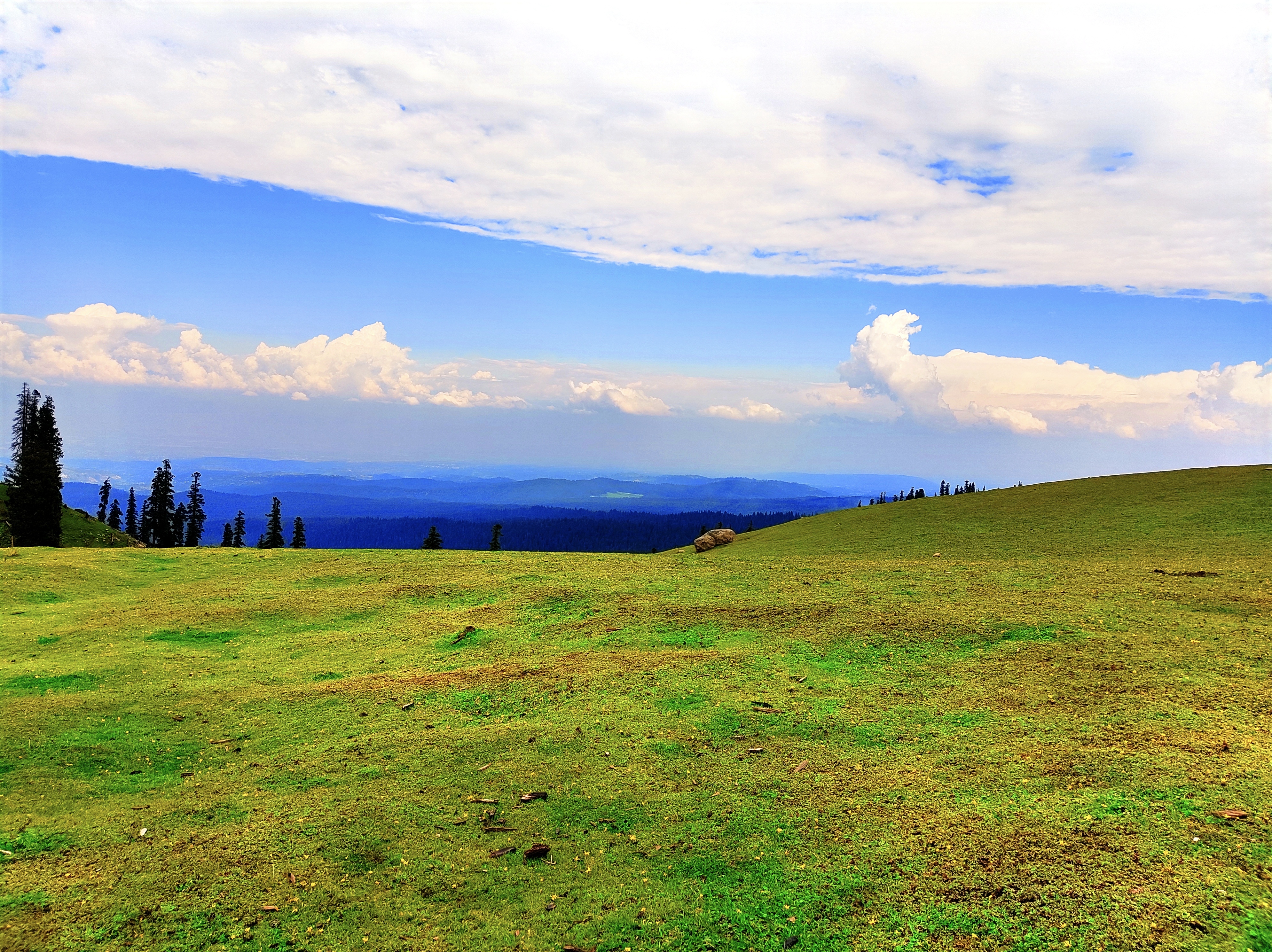Dishkal Meadow