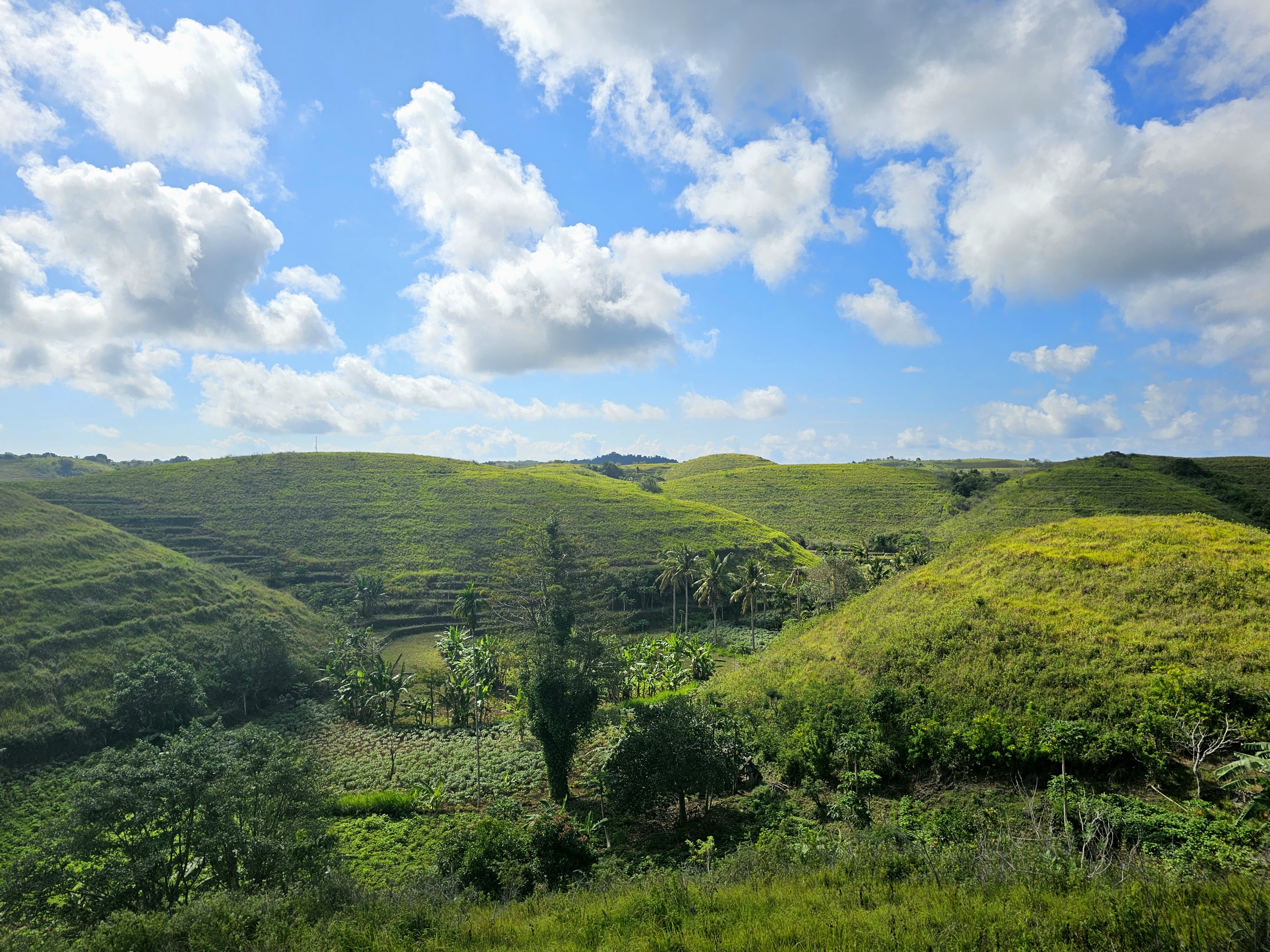 Teletubbies Hill