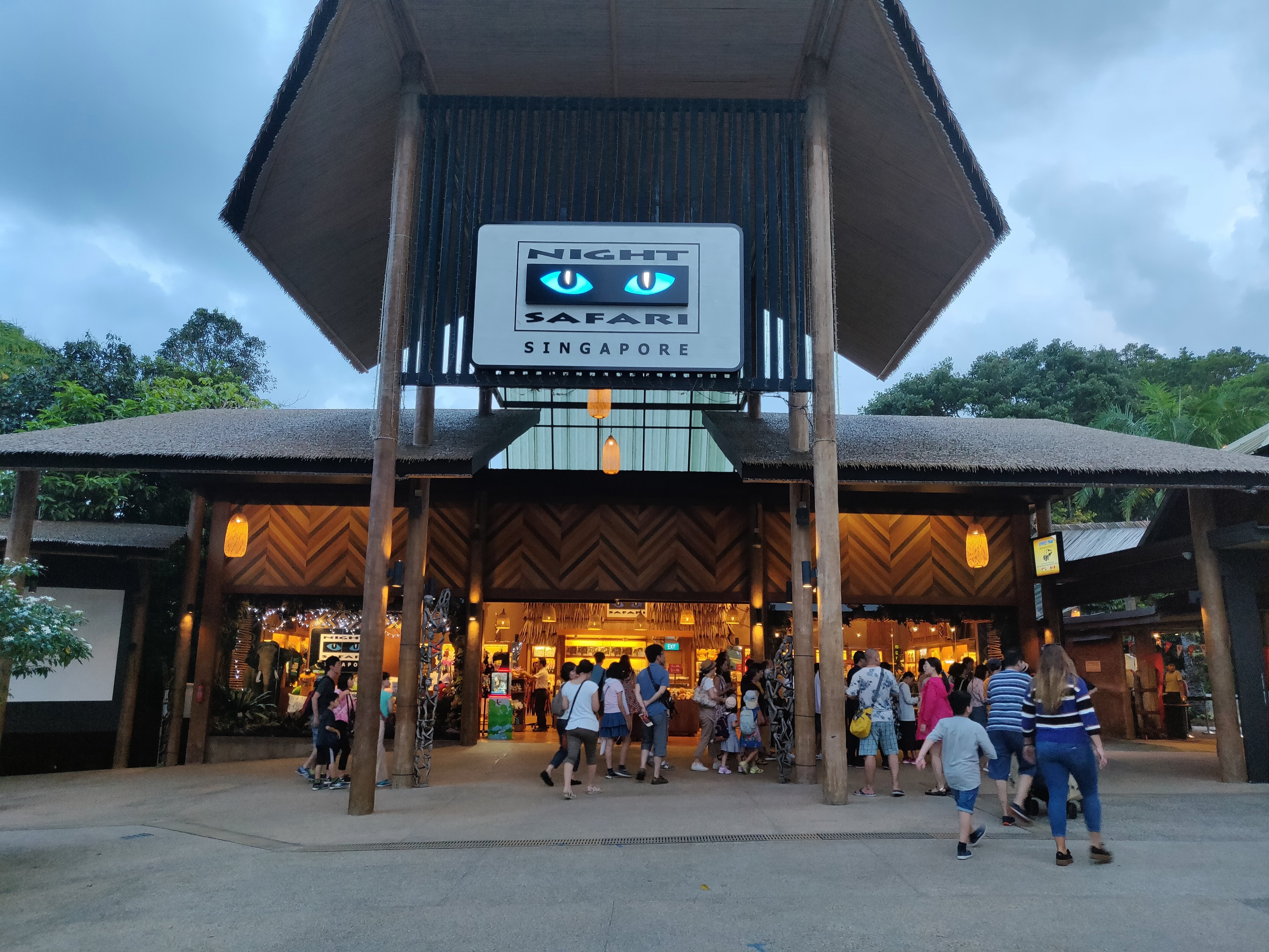 Night Safari