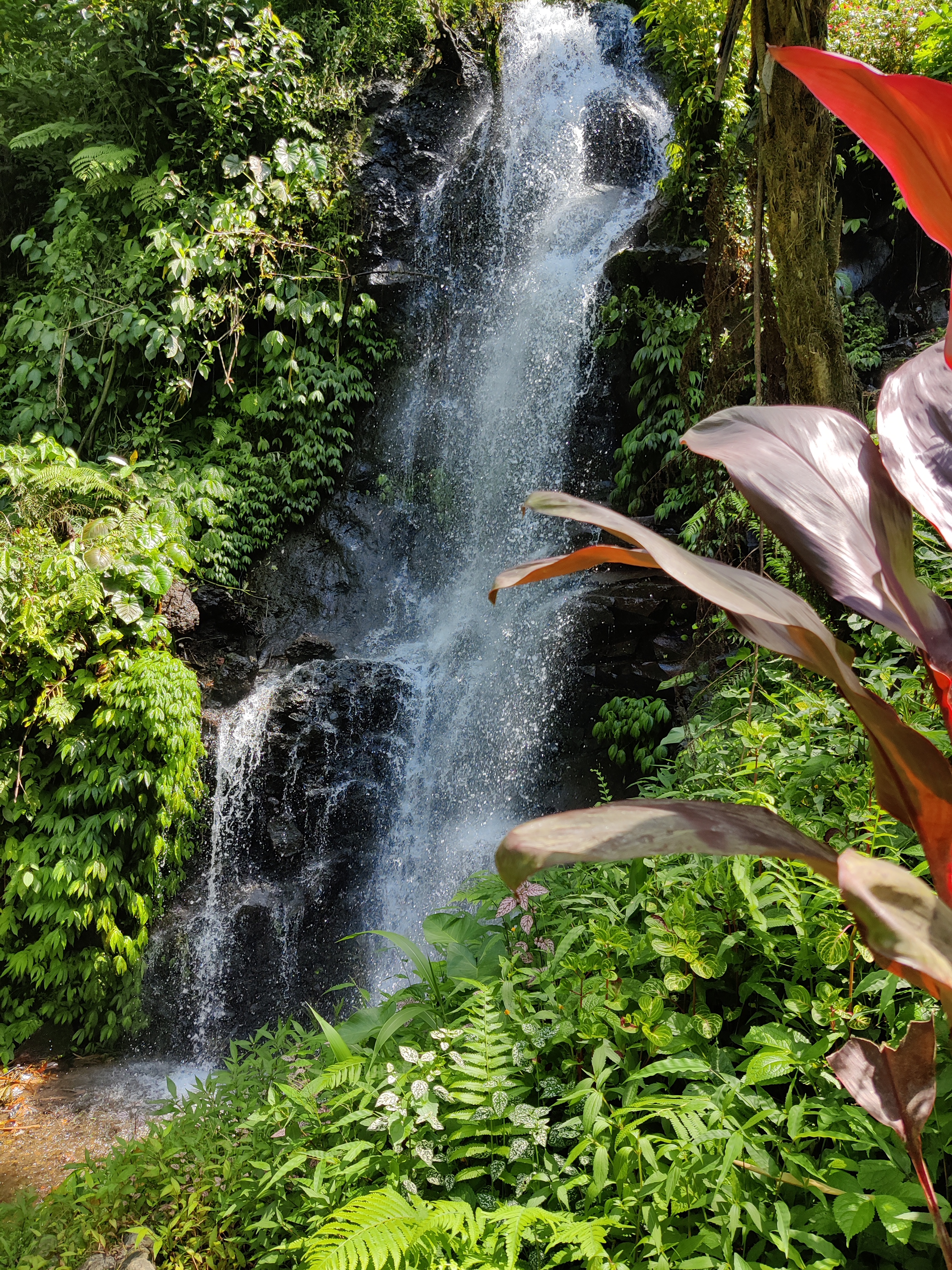 Gitgit Waterfall